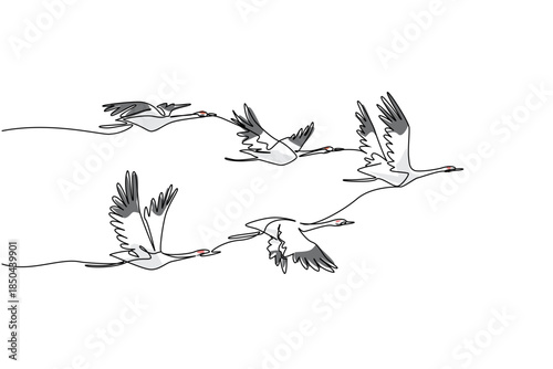 Single continuous line drawing a group of whooping cranes in flight with their wings in various positions. Formation during migration. Together. Whooping Crane Day. One line design vector illustration