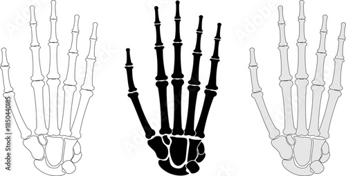 outline silhouette skeleton hand icon set