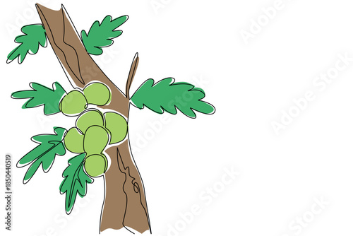 Single one line drawing some oak apples clinging to the tree branches with their leaves. Like parasites or mistletoe on plants. Biology. Oak Apple Day. Continuous line design graphic illustration