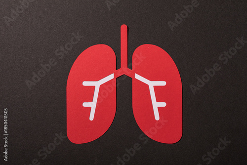 A symbolic red lung illustr...