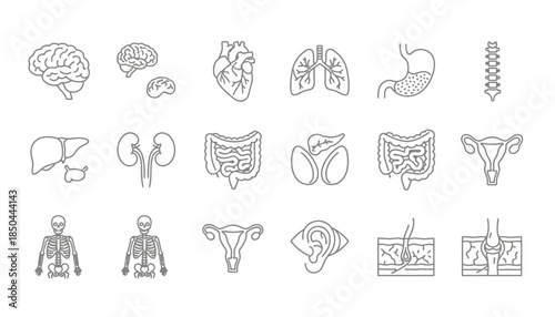 Vector icons Collection of Human Anatomy Icons and Illustrations. EPS Editable