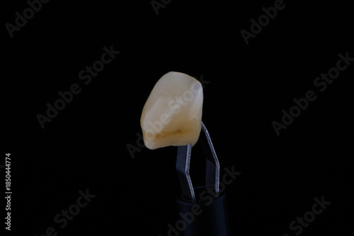 Close up shot ultra thin dental zirconium crown is held with tweezers with black background.