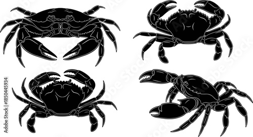 Black silhouette vector set of four crabs in various poses, depicting marine life, ocean seafood, shellfish, crustacean, sea animal, fishing, nautical themes, and aquatic nature illustration.