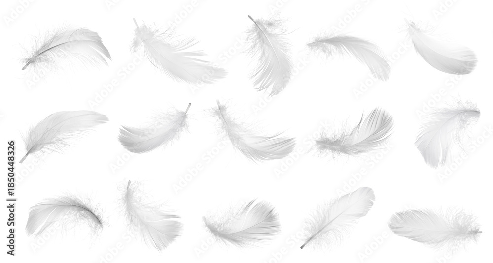 Fototapeta premium Collection of bird feathers isolated on white