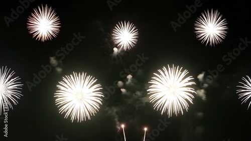 Vibrant fireworks exploding in the night sky with colorful bursts of light and energy
