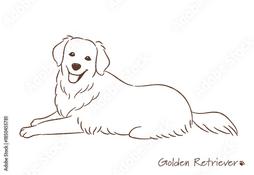 手描きのゴールデンレトリバー線画_ベクターイラスト
