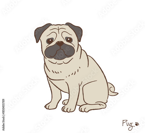 手描きのパグ_ベクターイラスト