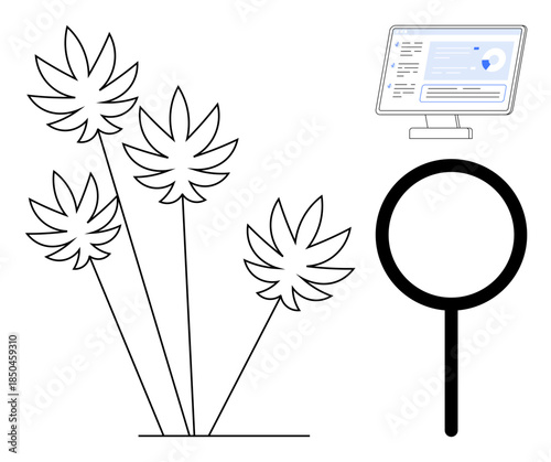 Healthcare research, data analysis, plant study, cannabis industry, scientific discovery, technology integration. Cannabis plants, magnifying glass desktop monitor with analytics. Healthcare