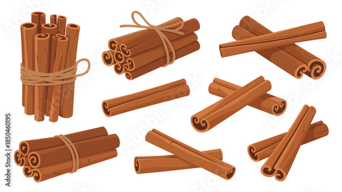 Cinnamon sticks aromatic rustic vector illustration with warm brown earthy tones in various arrangements for culinary use.