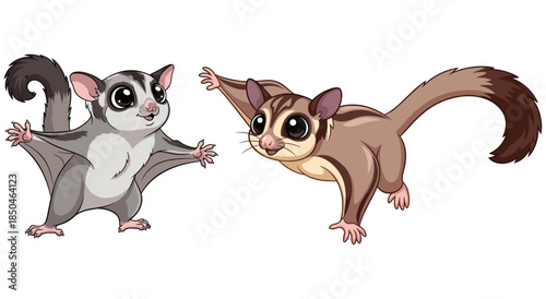 Two Cute Cartoon Sugar Glider Pet Character Vector Illustration
