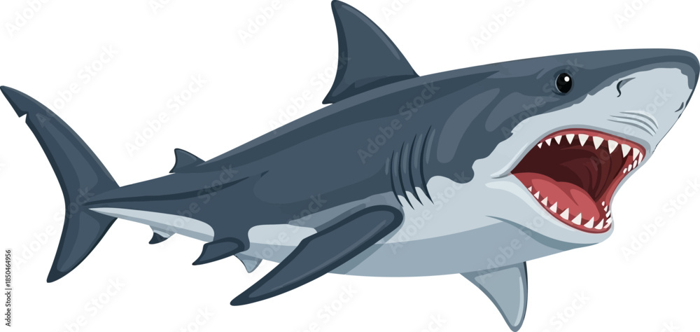 Naklejka premium Aggressive Great White Shark Illustration with Open Mouth and Sharp Teeth Ready to Attack