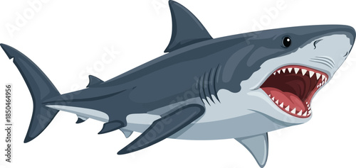 Aggressive Great White Shark Illustration with Open Mouth and Sharp Teeth Ready to Attack
