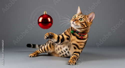 Bengal Cat in Festive Action