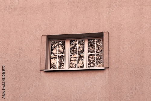 Small window set in a pastel wall reflecting bare tree branches, blending architecture and nature in a quiet minimalist composition.
