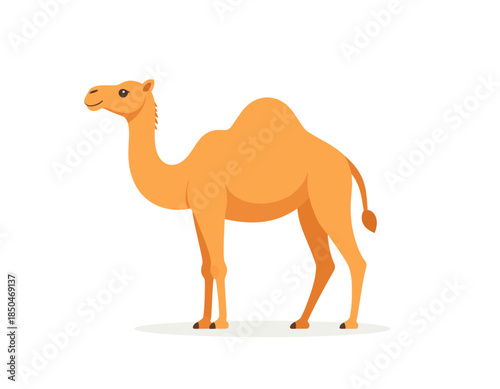 Minimalist Camel Vector Illustration Isolated on White Background for Design Elements