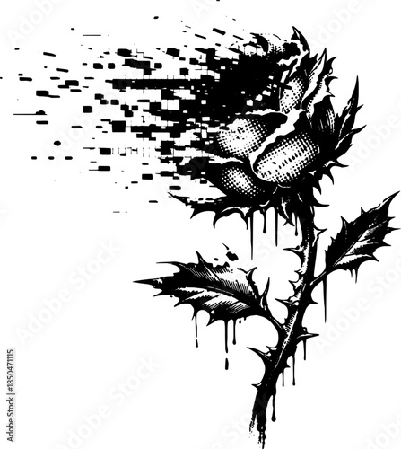 Vintage Glitch Thistle Flower Engraving Vector, Inverted Black White Xerography on Transparent Background