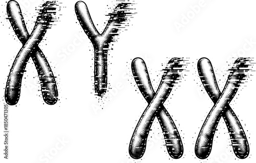 Vintage Chromosomes Engraving Vector, Inverted Black White Xerography on Transparent Background