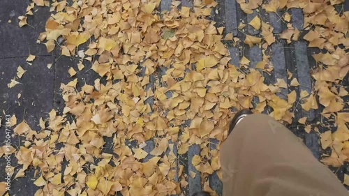 POV top view leg in brown pants and sneakers under the ground  covering by Yellow Ginkgo Leaves in Autumn.Shotting a pair of sneakers  from up to down after walking in fall