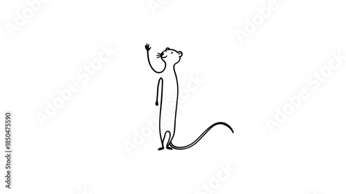 Minimalist continuous line art drawing of a meerkat standing upright and observing. Simple black and white wildlife illustration on white background.