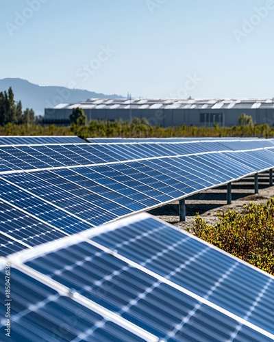 Image of a Solar Energy Project
