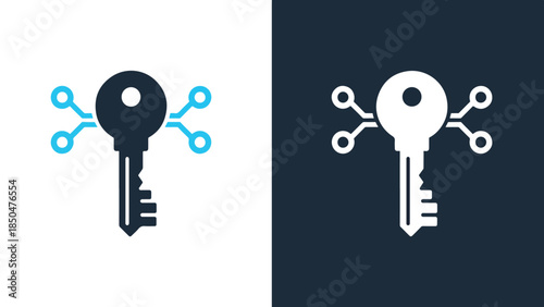 Digital key icon set - Line and glyph solid icon set - Solid icons vector collection - Blue icon set - Icon vector - Flat Design Icon - Vector icon symbol