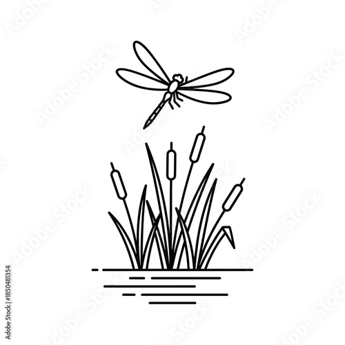 dragonfly on a white background