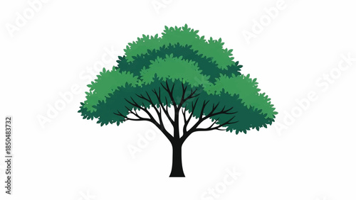 Illustration of a tree with lush green leaves and branches standing alone from a front viewpoint
