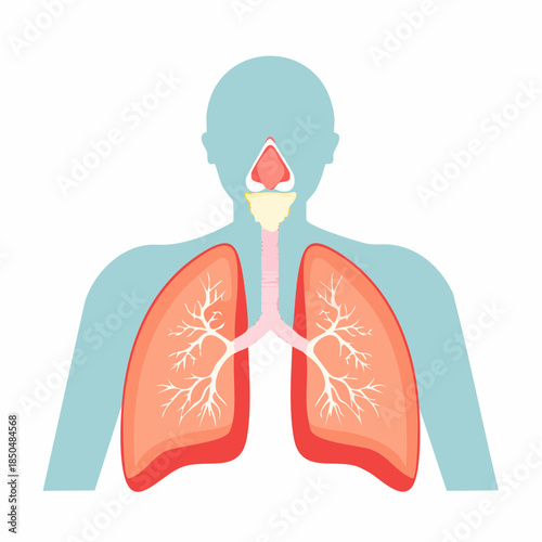The human respiratory system infographic illustrates lungs, trachea, diaphragm, and nose.