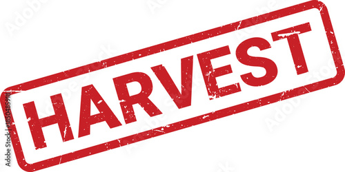Distressed Red Ink Stamp Featuring the Word Harvest Isolated on White Background