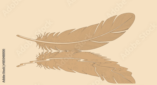 Minimalist Illustration of a Brown Feather with Reflection on a Light Background