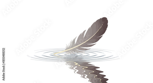 Minimalist illustration of a feather floating on water creating ripples with a reflective effect