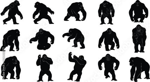 Gorilla silhouettes collection, primate poses set, black animal figures, wildlife illustration, ape movement actions, jungle mammal shapes, vector style, isolated design, white background