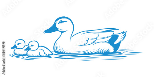 A white duck paddling along with her tiny ducklings
