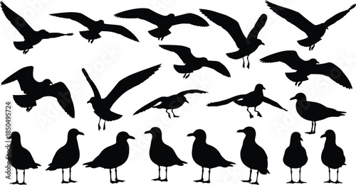 Set of Seagull Silhouettes in Black, Flying and Perching Seabirds Collection, Isolated Marine Animal Icons, Coastal Nature Vector Elements for Design Projects.