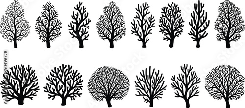 Bare Tree Silhouettes Vector Set, Diverse Winter or Coral Shapes, Branching System, Nature Graphic, Organic Design, Forest, Ecology, Wood Illustration.