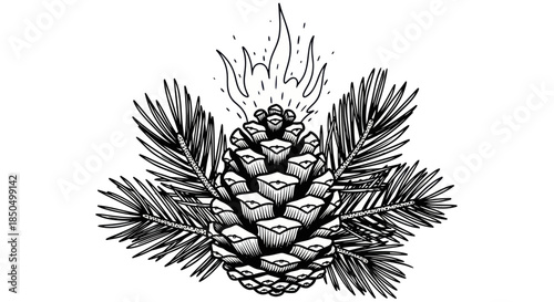 Burning Pine Cone with Pine Needles Hand Drawn Illustration
