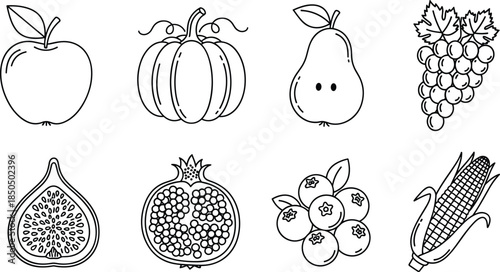 Set of fruit and vegetable line drawings including apple, pumpkin, pear, grapes, fig, pomegranate, blueberries, and corn illustration