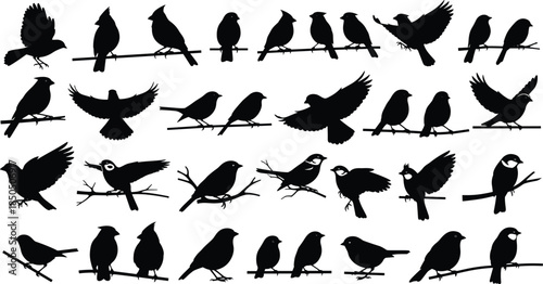 Set of black bird silhouettes vector illustration graphic elements collection, small to medium species perched on branches or flying, various poses and actions, 