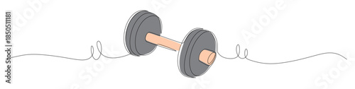 Continuous line art of dumbbells with curved lines. Weight training concept. Vector illustration with color.