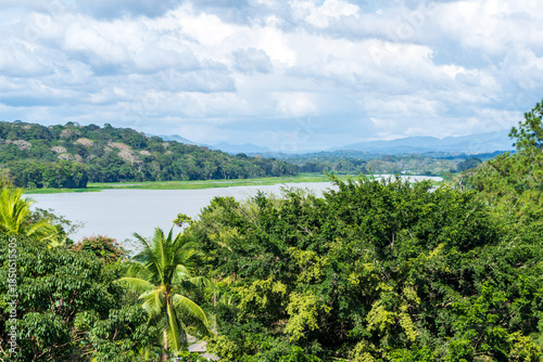 Chagres River flowing through tropical rainforest near Gamboa, Panama