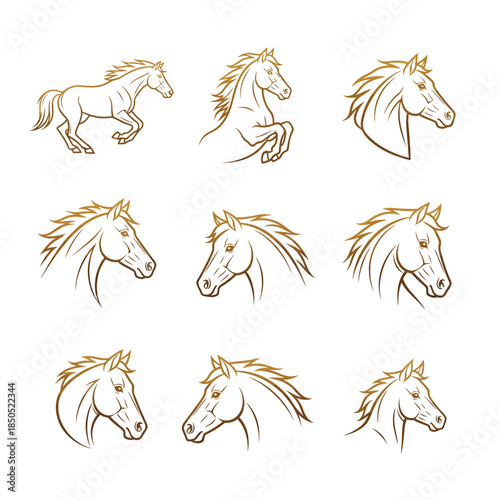 Collection of Horse Illustrations Showing Different Poses and Head Views.