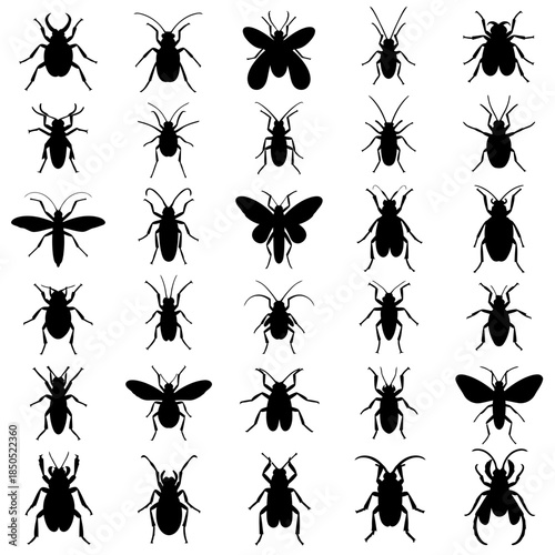 Collection of Insect Silhouettes Vector Art.