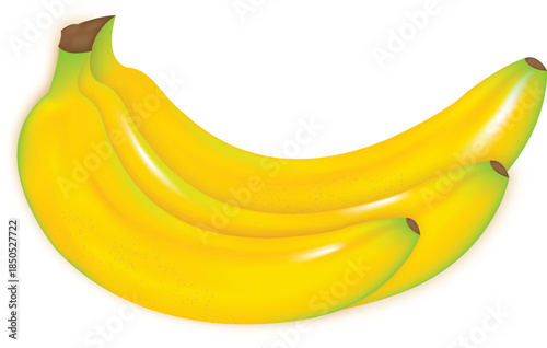 Yellow Banana Bunch Vector Illustration on transparent Background