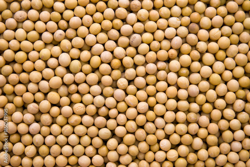 Flat Lay Soybeans Mixed Grains Assortment