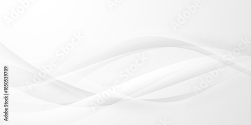 gray and white abstract background modern vector illustration