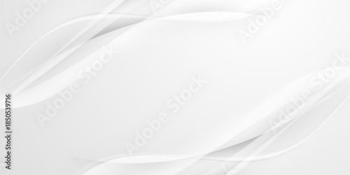 gray and white abstract background modern vector illustration