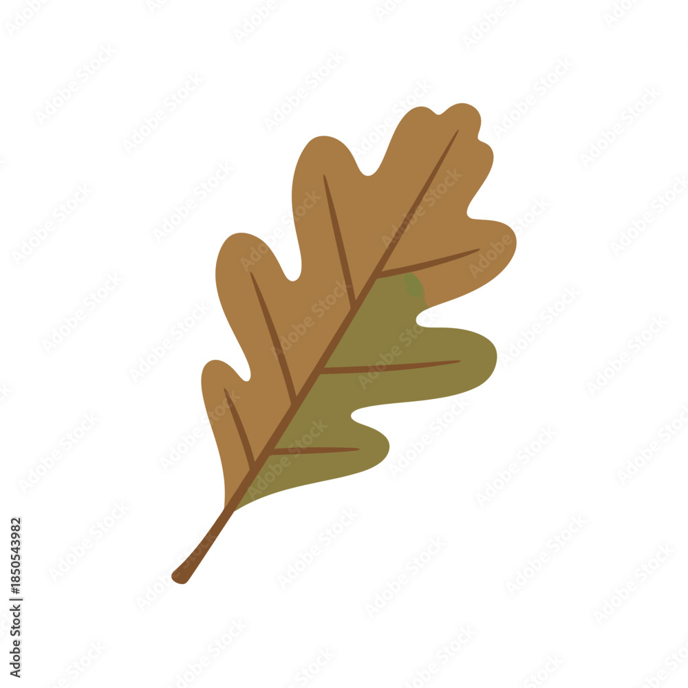 Obraz premium Autumn Oak Leaf Illustration in Brown and Green Hues.