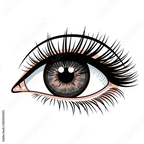 Detailed Eye Illustration with Long Lashes and Realistic Iris.