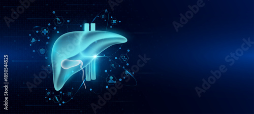 Health care medical. Human liver organ hologram transparent in the ring line with icon digital medical technology. On dark blue background. Science banner vector.