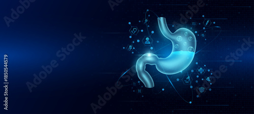 Health care medical. Human stomach organ hologram transparent in the ring line with icon digital medical technology. On dark blue background. Science banner vector.